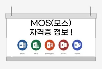 mos 자격증 조회 방법 유효기간 확인 절차 발급기관 알아보기로_19