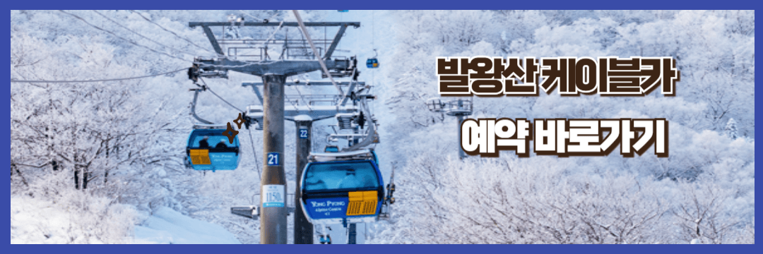 발왕산 케이블카 사진