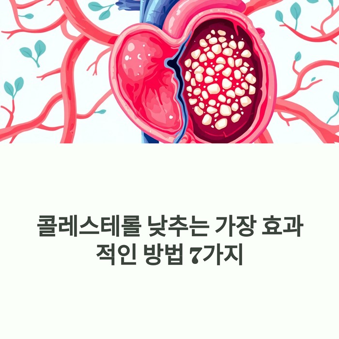 콜레스테롤 낮추는 가장 효과적인 방법 7가지 요약 이미지