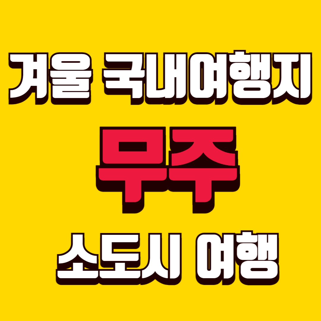 겨울 국내 여행지 추천 무주 눈 오는 날 더 좋은 조용한 여행
