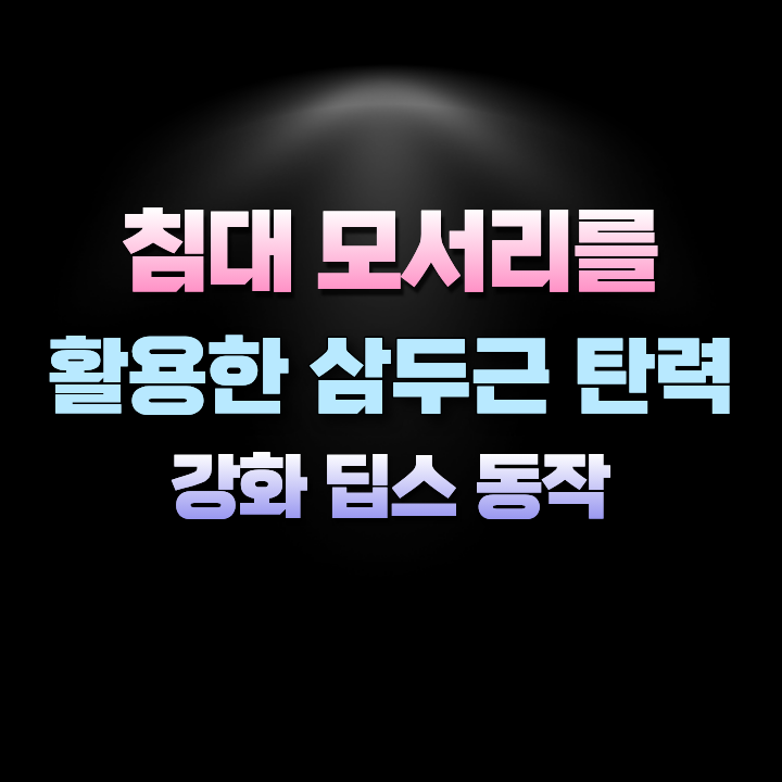 침대모서리를활용한삼두근탄력강화딥스동작