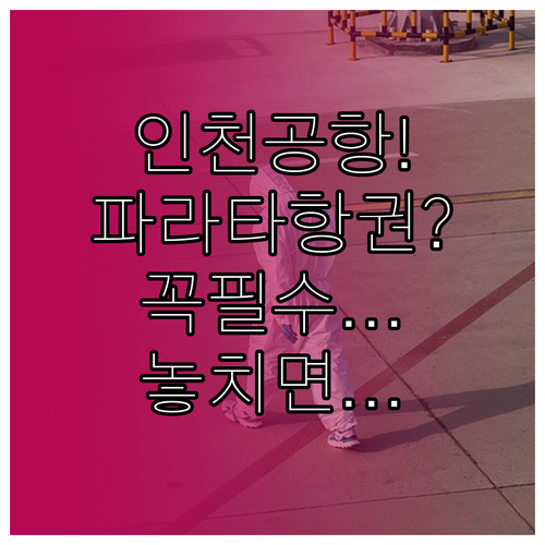 인천공항 파라타항권 탑승 전 꼭 알아..