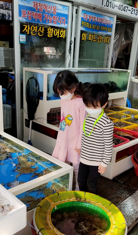 횟집 물고기와 해산물들이 신기한 아이들