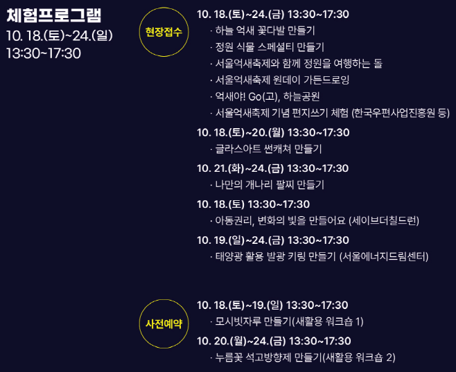 가을 감성 폭발! 제24회 서울억새축제 일정·볼거리·야경 포인트 정리