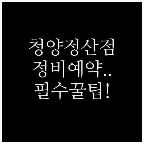 블루핸즈 청양점 정산점 상세 정보와 ..