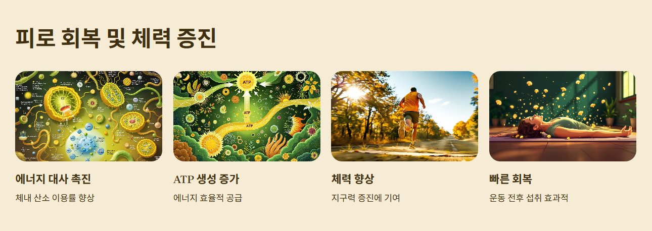 동충하초 효능과 먹는 방법, 부작용