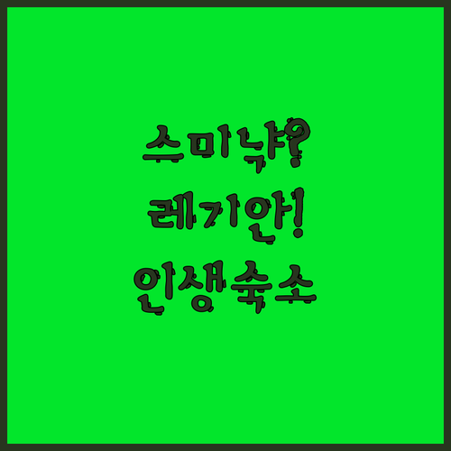 스미냑과 레기안 사이 나에게 딱 맞는..