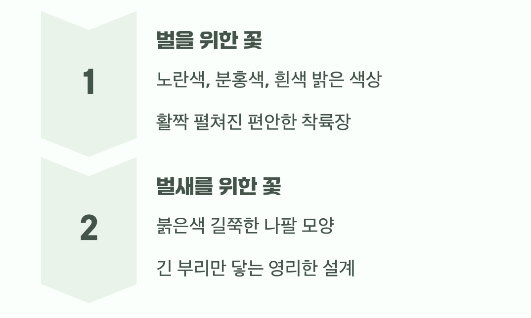 낮의 손님을 위한 맞춤 서비스