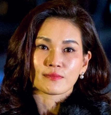 이서현 프로필 나이 고향 학력 재산 | 삼성복지재단 이사장 이서현 삼성물산 사장 복귀 이유