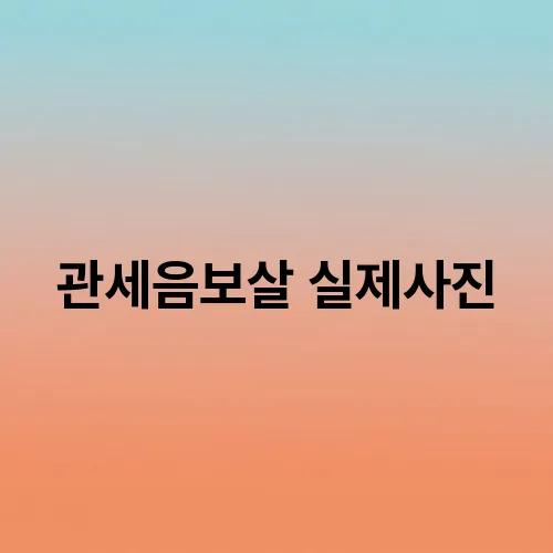 관세음보살 실제사진