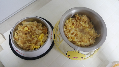 강아지 사료 고르는 방법, 처음이라면 확인할 것들