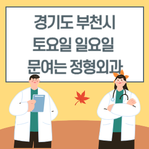 경기도 부천시 토요일 일요일 정형외과 진료 문여는 병원 리스트