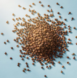 간에 좋은 음식 10