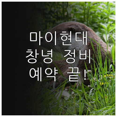 마이현대 앱 활용 창녕 블루핸즈 정비..