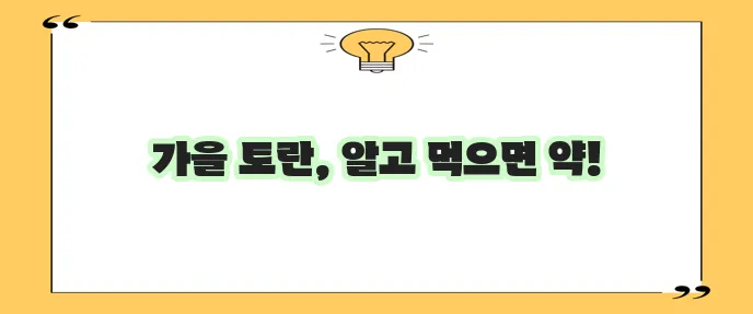 가을 토란 수확 시기와 효능, 활용법, 부작용 및 칼로리 정보