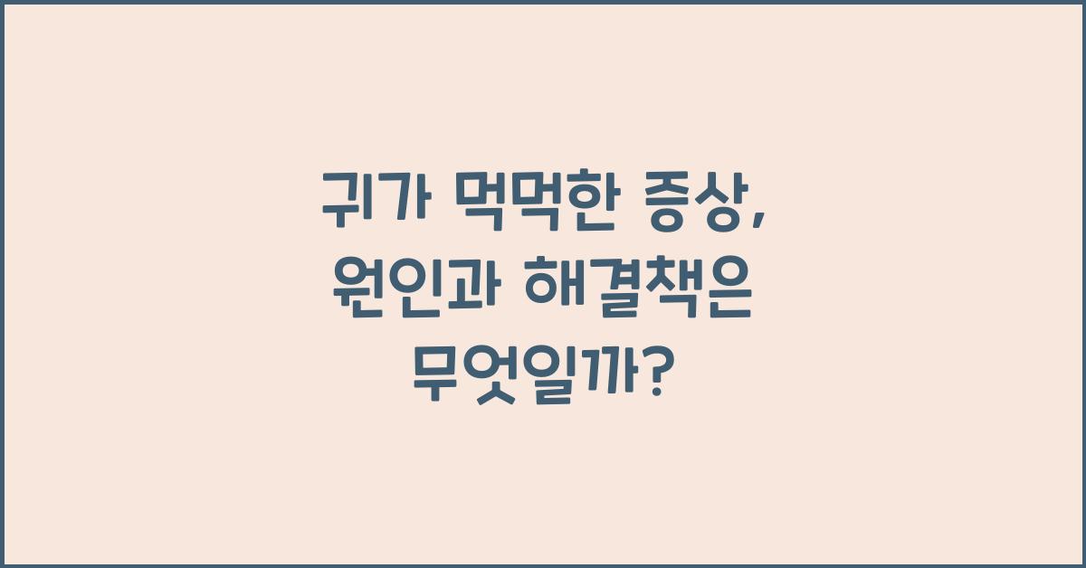 귀가 먹먹한 증상