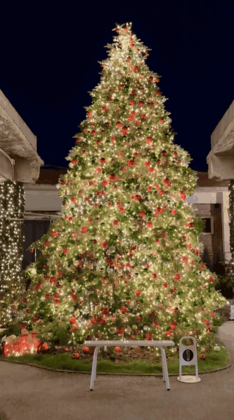 서울 근교 크리스마스트리 예쁜 카페 Best 5