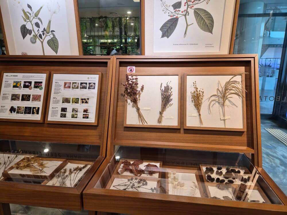 씨앗 박물관 전시물4