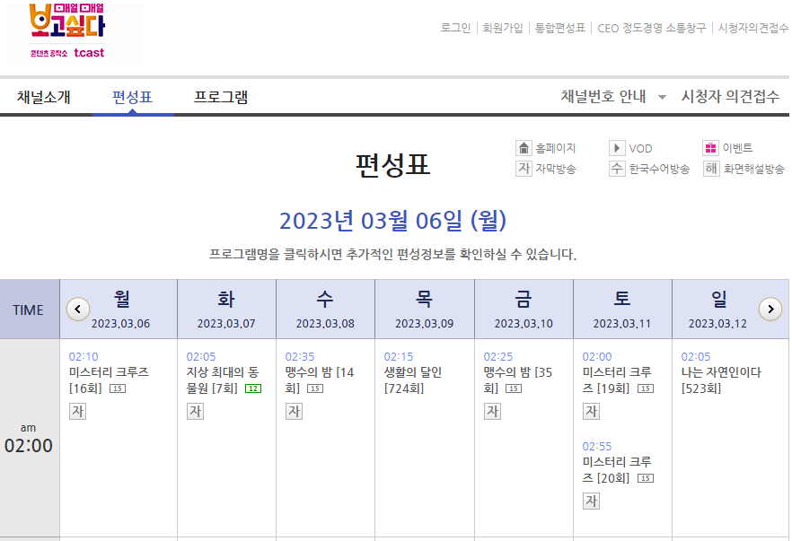 채널뷰-편성표-페이지