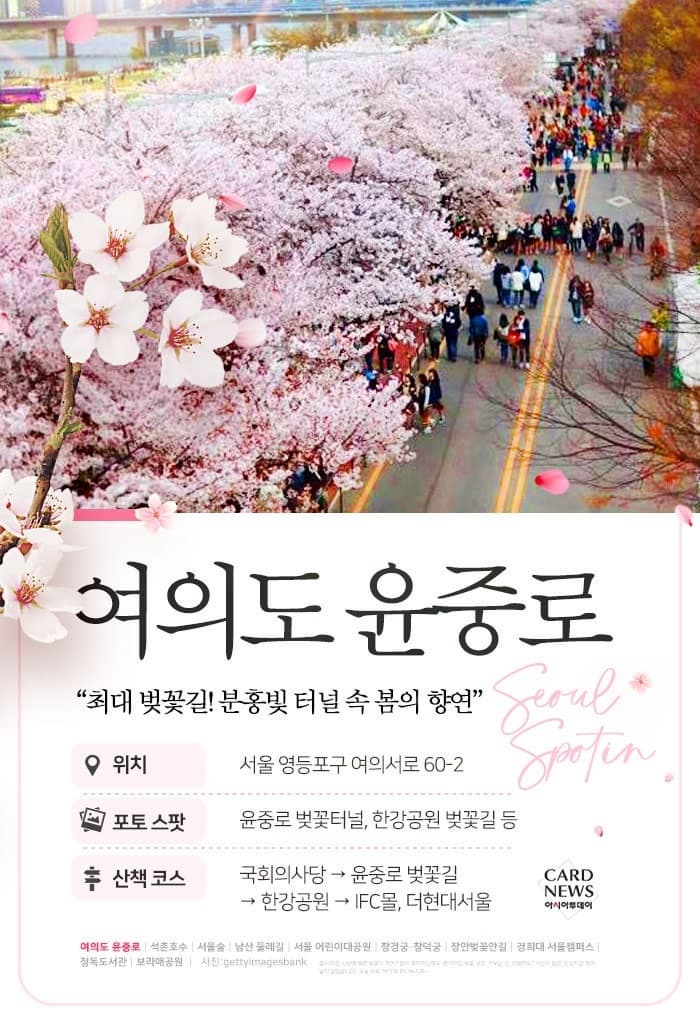 서울 벚꽃 명소 10곳 소개