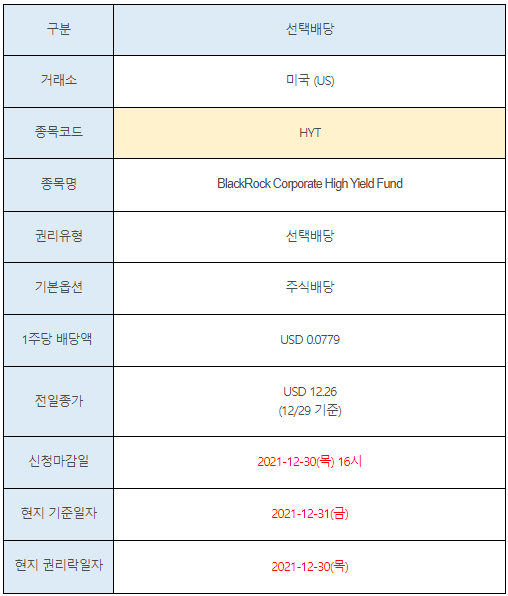 미국주식 선택배당 HYT