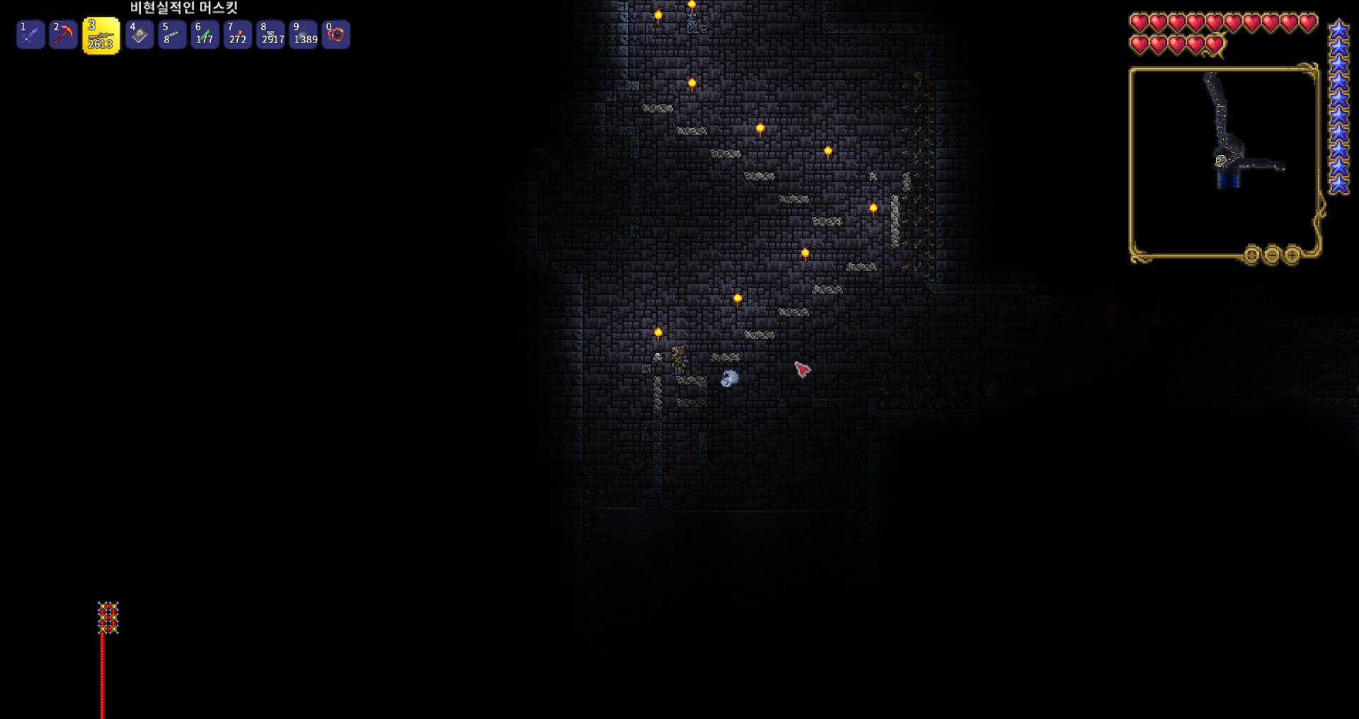 테라리아 던전 몬스터