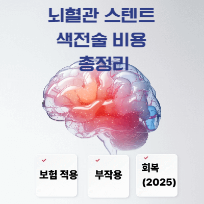 뇌혈관 스텐트&middot;색전술 비용 총정리｜보험 적용&middot;부작용&middot;회복 (2025)