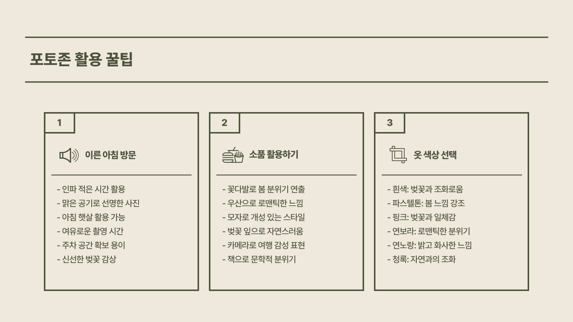 진해 군항제 명소 및 포토존 완벽 가이드