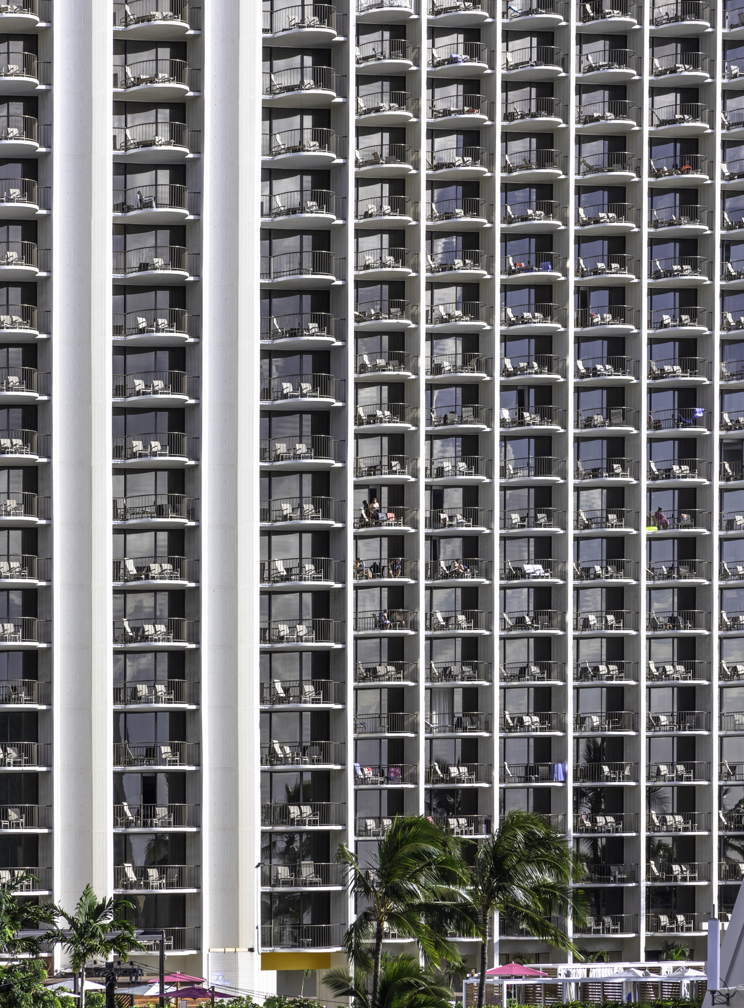 하와이 닭장 호텔