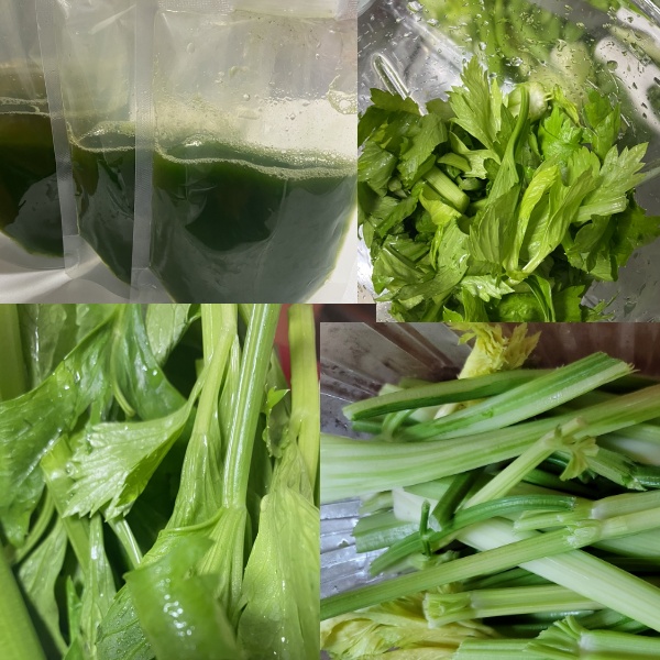 셀러리 착즙해서 다이어트 주스로 마시기