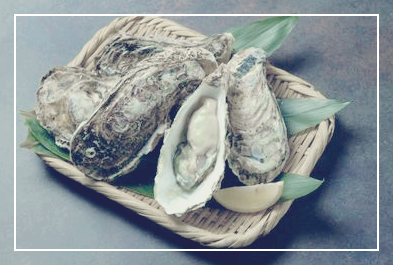 생굴 노로바이러스 - 굴 이미지