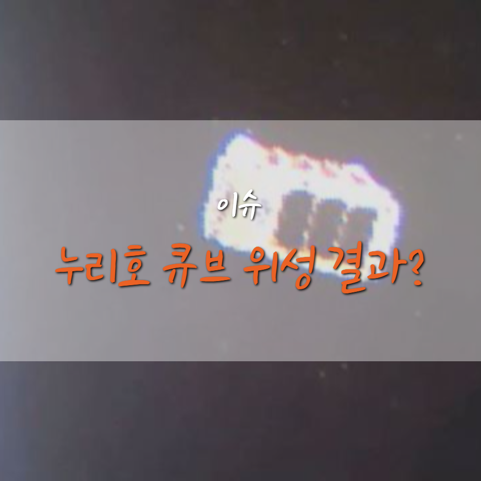 누리호, 큐브 위성, 카이스트, KIST, 서울대, 조선대, 연세대, 양방향 교신, 사출, 발사, 결과, 통신