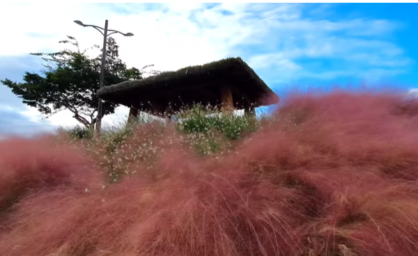 혼자만알고싶은여행지