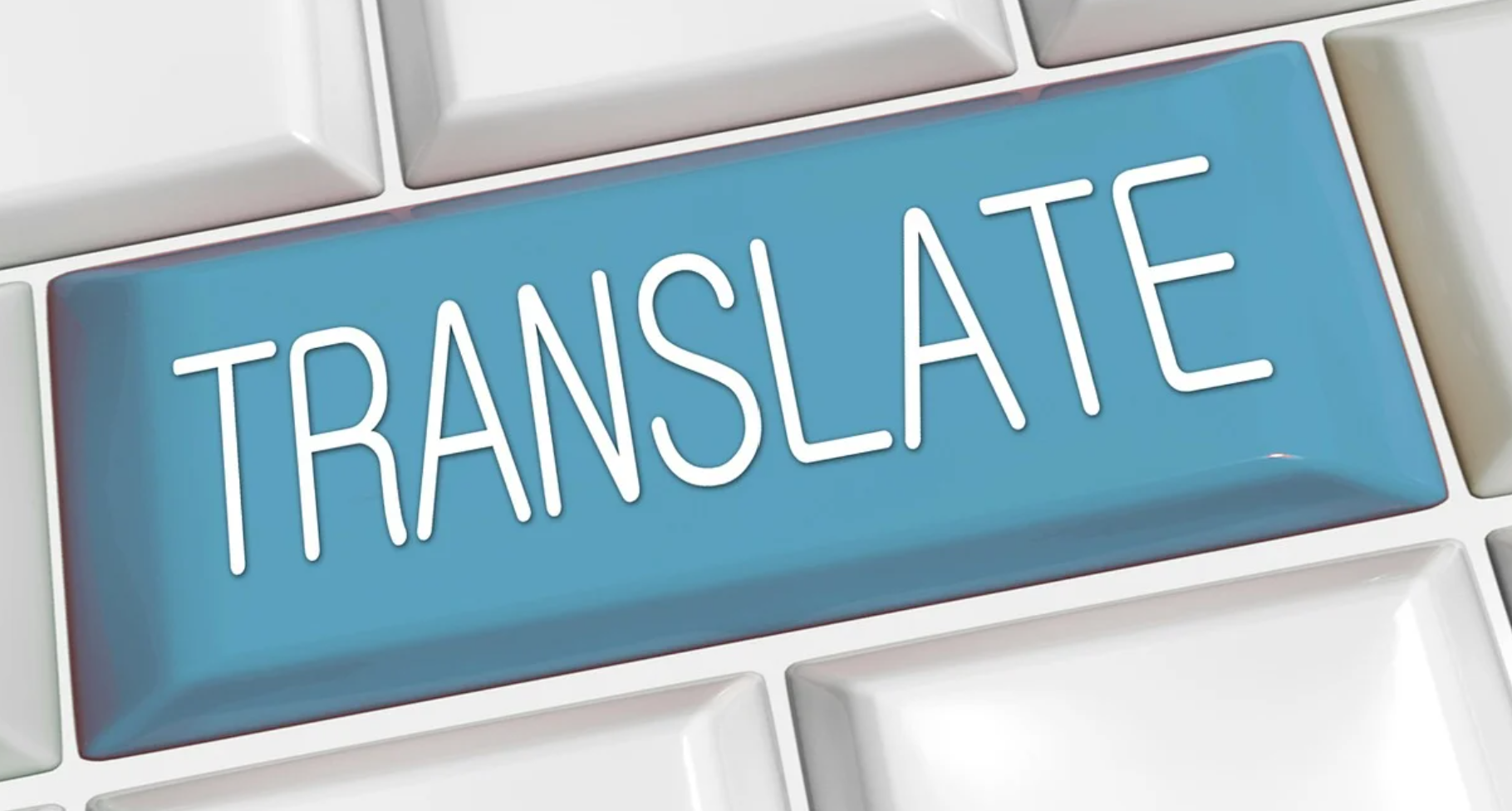 해외파견과 국내복무 차이 (카투사 vs 영어통역병)