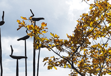 팔공산 케이블카 예약