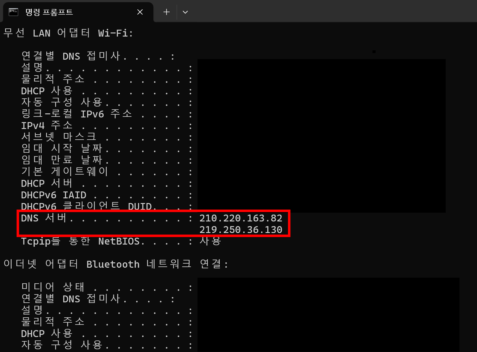 DNS 서버 확인