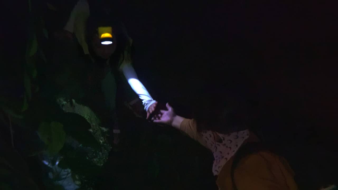 비욘드 유토피아