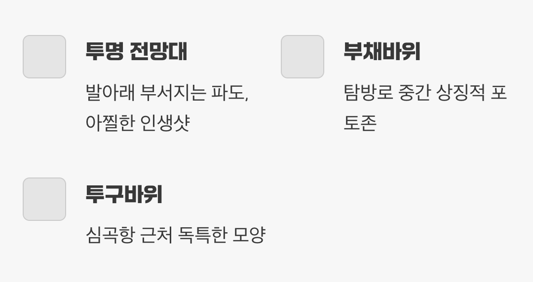 놓치지 말아야 할 포토 스팟