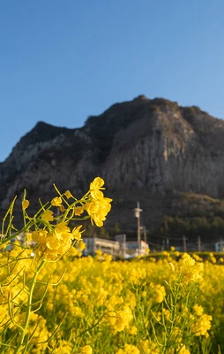 5월-국내-여행지-추천-제주도