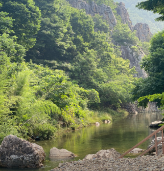 대전 근교 계곡 추천 금산 돌담계곡 펜션(출처-네이버플레이스)