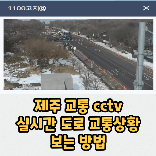 제주 교통 cctv 도로 교통상황 실시간 보는 방법