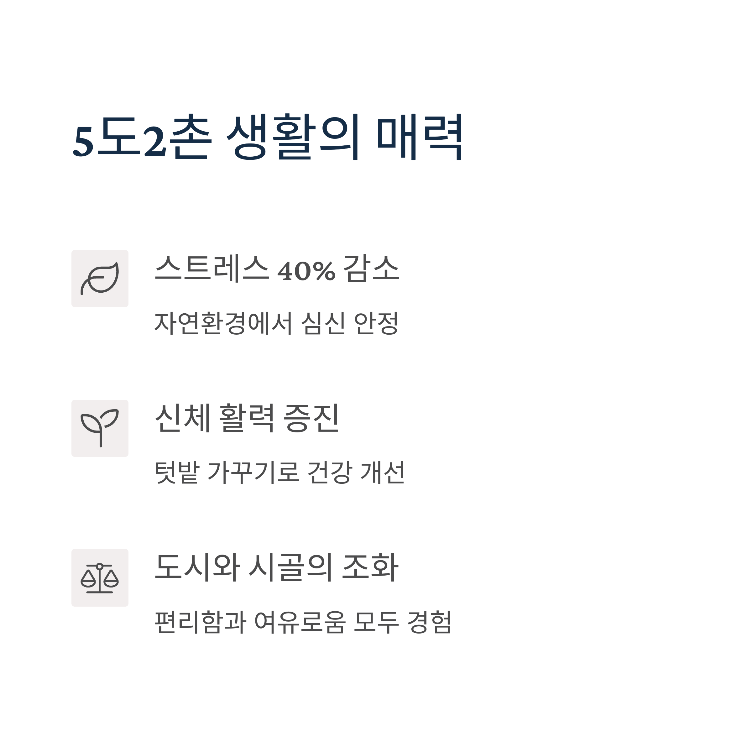 5๋2์ด ๋ผ์ดํ, ์ํด ํ ์ถ์ ์ง์ ๋์ด๋ ์๋ก์ด ์ ํ