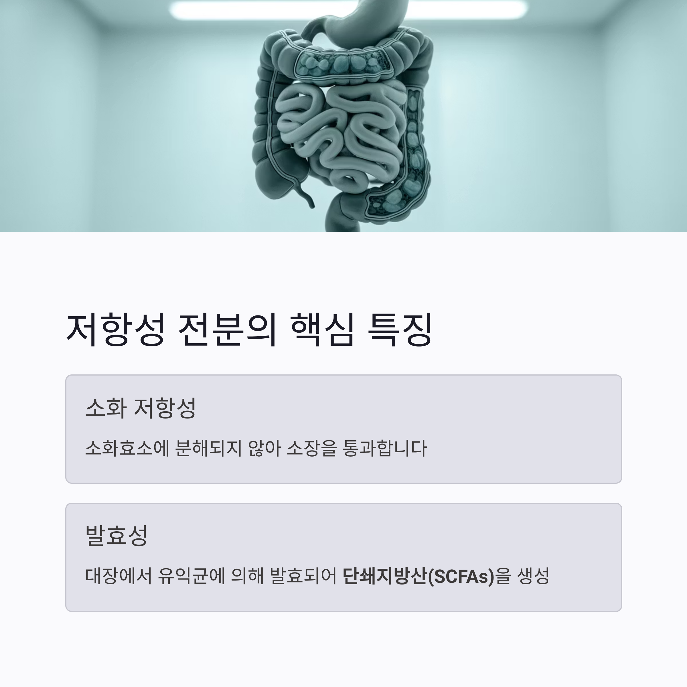 저항성 전분의 핵심 특징