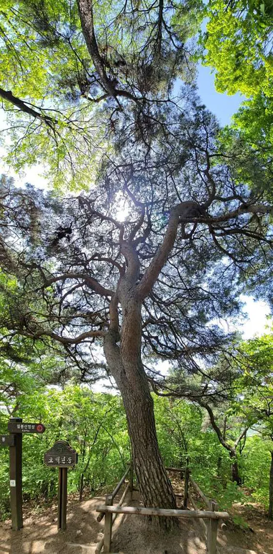 설봉산