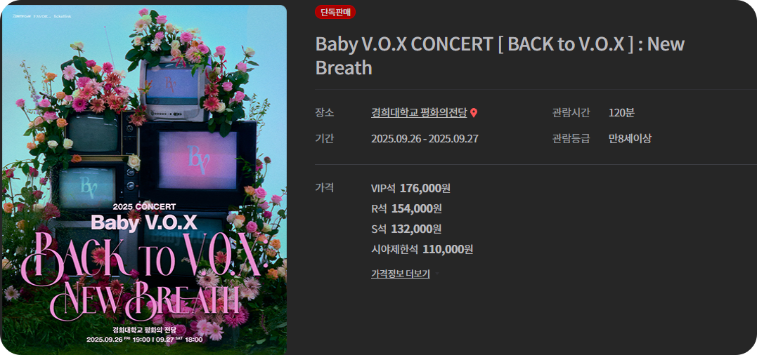 베이비복스콘서트사진