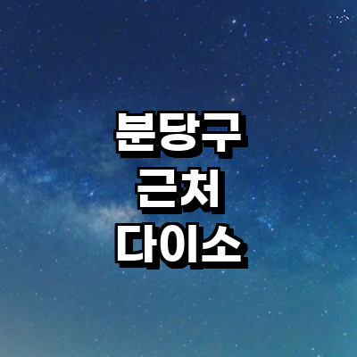 성남 분당구 종합생활용품 다이소