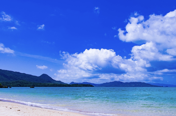 이시가키 클럽메드 여행 직항, 김건모 미우새