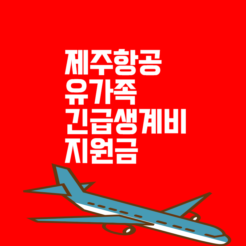 제주항공 유가족 긴급생계비 300만 원 신청하기