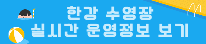 6월 20일 개장! 한강 야외수영장 이용 꿀팁🍯 총정리