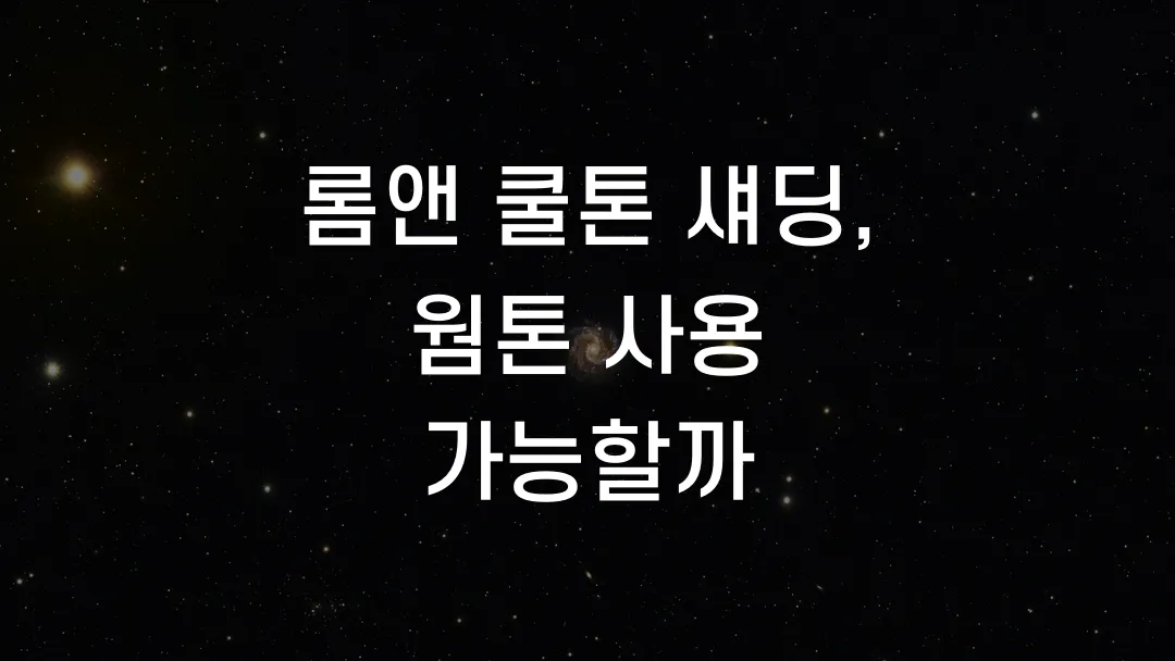 롬앤 쿨톤 섀딩, 웜톤 사용 가능할까